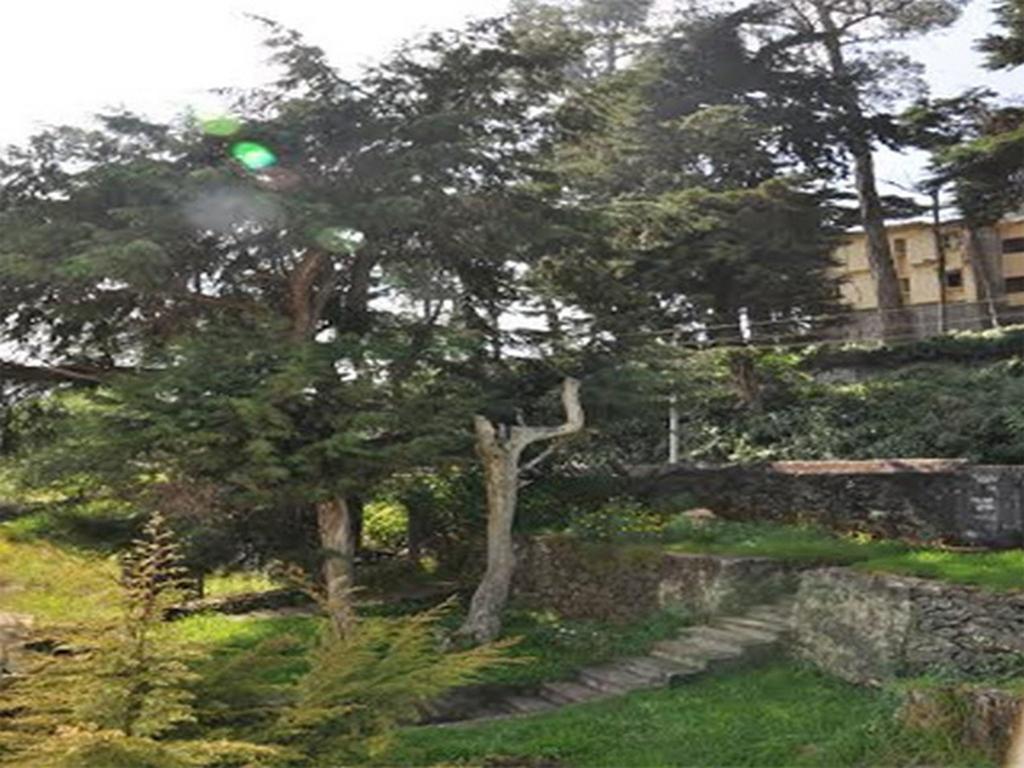 Hill Heaven Home Stay Kodaikanal Buitenkant foto
